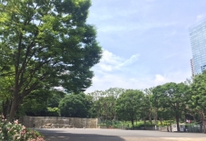 新宿中央公園