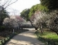 Shinjuku Gyoen Park